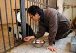 Dene ene af de to panda-bjørne Yuan Yuan, sammen med en dyrepasser i zoo i Taipei. Den anden panda hedder Tuan Tuan. Sammen betyder de to navne 'genforening'. 