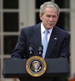 Bush