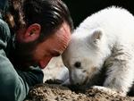 En mand ville gå Knuts dyrepasser i fodsporene og holde isbjørnen med selskab. Her er dyrepasseren Thomas Dörflein og Knut i marts 2007. 