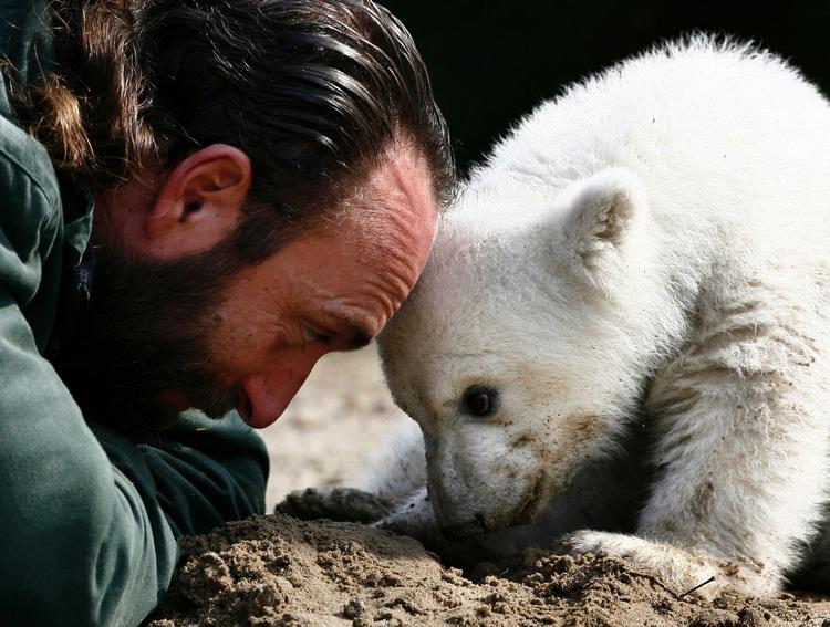 En mand ville gå Knuts dyrepasser i fodsporene og holde isbjørnen med selskab. Her er dyrepasseren Thomas Dörflein og Knut i marts 2007. 