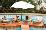 Et hundeliv i Disneys nye tøse-og-hundefilm 'Beverly Hills Chihuahua'. 