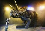 En model af en ceratopsia-dinosaur - et af de fossiler, der er fundet i Kinas nyopdagede dinosaurkirkegård. 