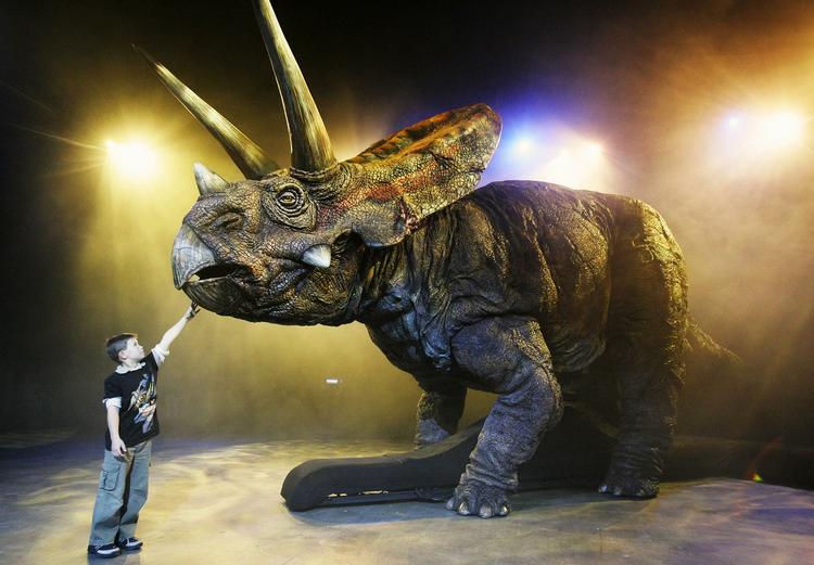 En model af en ceratopsia-dinosaur - et af de fossiler, der er fundet i Kinas nyopdagede dinosaurkirkegård. 