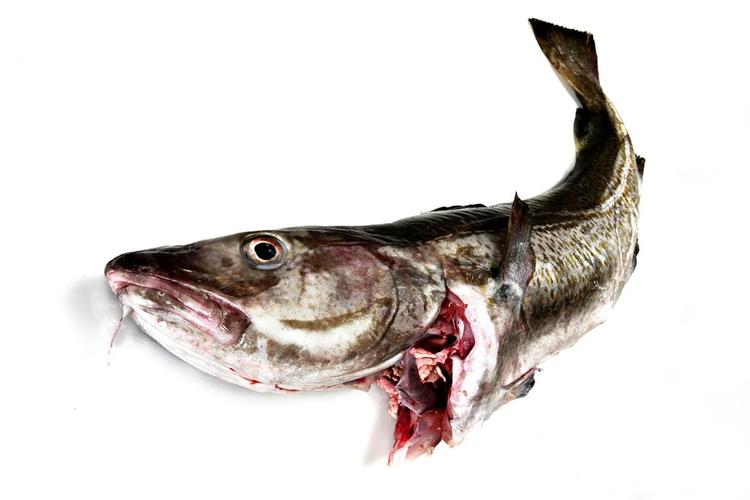 I de senere år har både fiskehandlere og sushirestauranterne kunnet mærke en stigende interesse for sushi nytårsaften, men det er dog ikke noget, der er ved at udkonkurrere nytårstorsken. 