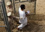 Guantanamo-lejren blev oprettet i 2002 oven på terrorangrebet mod USA i september 2001. 