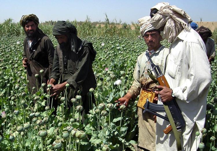 Der er mange penge i Afghanistan, blandt andet fra opiumsproduktion. 