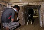 MIDEAST ISRAEL PALESTINIANS