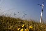 Gaskrise kan skubbe til udviklingen af vedvarende energi i Europa, forudser professor. 