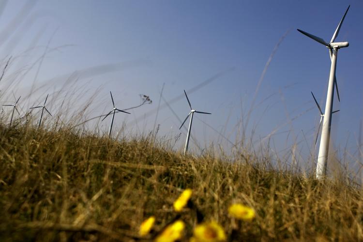 Gaskrise kan skubbe til udviklingen af vedvarende energi i Europa, forudser professor. 