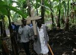 Malaria koster hvert år tusindvis af mennesker livet. Naturmedicin kan vise at kunne afhjælpe sygdommen, men de livsvigtige planter er i fare for at uddø. 