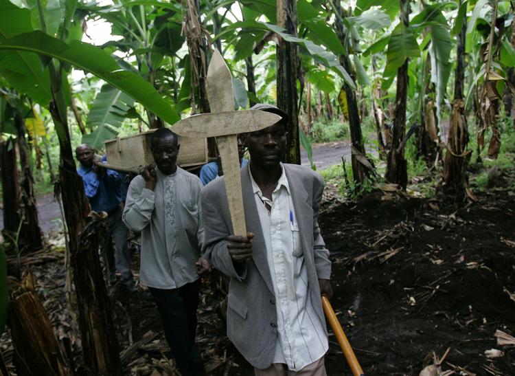 Malaria koster hvert år tusindvis af mennesker livet. Naturmedicin kan vise at kunne afhjælpe sygdommen, men de livsvigtige planter er i fare for at uddø. 