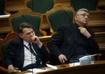 Fætre og sidekammerater i Folketinget Jesper Langballe og Søren Krarup begge (DF). 