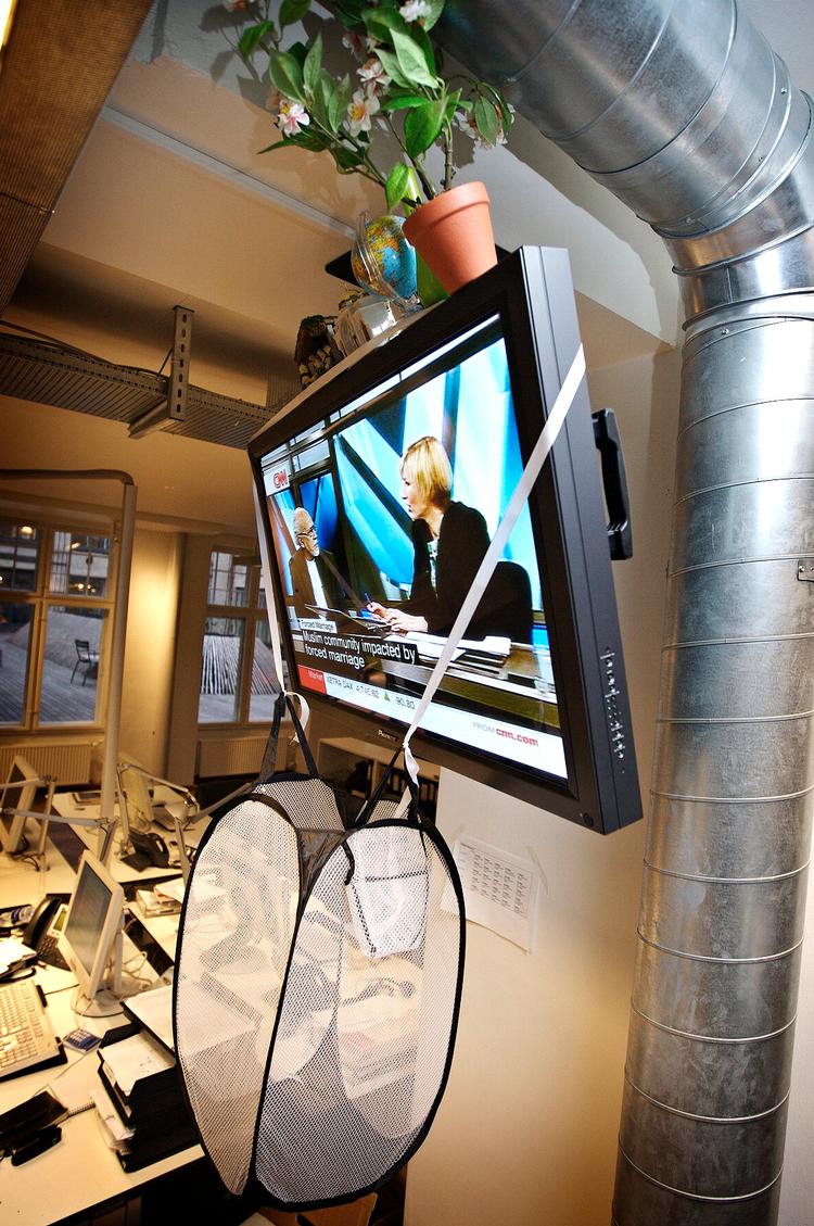TEST: Tyngdelovstrodsende pga. velcro pryder en potteplante, en vase, en globus, et vækkeur og et juletableau tv’et. Nettet skal i testfasen opfange evt. faldende effekter. 
