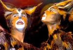 Snart skal du kunne synge med på populære musicals som Cats, Evita og Phantom of the Opera. De skal nemlig udvikles til syngespil. 