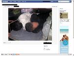 Billede af Facebook-siden med fotografiet af irakeren, der dog her er blevet sløret. 