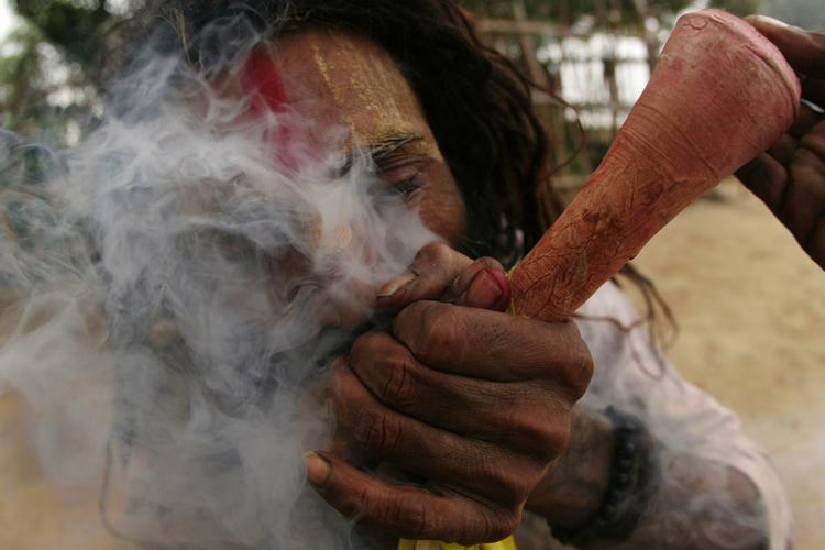 Cannabisrygning kan skade reproduktionsevnen. 