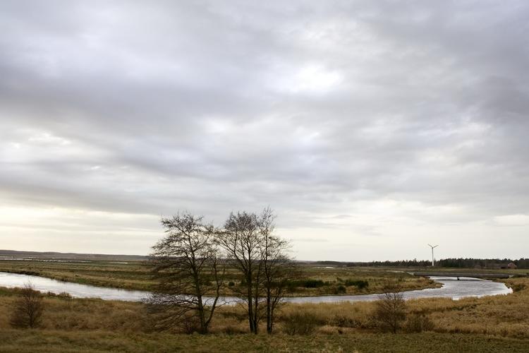 Miljøet i åer og bække har fået det langt bedre de senere år. Det har gavnet bestanden af fiskearter som ørred og laks. Billedet er fra den restaurerede del af Skjern Å. 