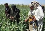 Attempts to reduce farmers' reliance on opium-growing in Helmand Province in Afghanistan have failed. 