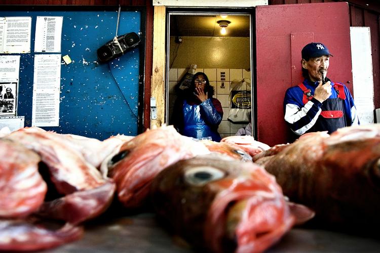 Hvalkød, sælkød og fisk sælges på havnen i Nuuk. Men grønlænderne spiser mindre af disse sunde fødevarer end før. 