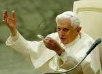 Pave Benedikt XVI er kommet i heftig international modvind, efter at han har rehabiliteret biskoppen Richard Williamson, som fornægter det nazistiske massemord på jøder under Anden Verdenskrig. 