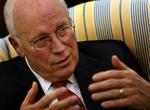 Den tidligere vicepræsident Dick Cheney er bekymret for, at Obamas nye regering er naiv. 