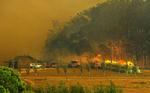 Brandfolk kæmper mod brand nær Tonimbuk i delstaten Victoria, Australia. 