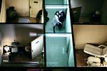 Human_Zoo3_07-02-2009_AR6N31D.jpg
