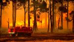 Brandfolk kæmper stadig mod flammerne i det sydøstlige Australien. Billedet her er fra i går i Gippsland-området i delstaten Victoria. 