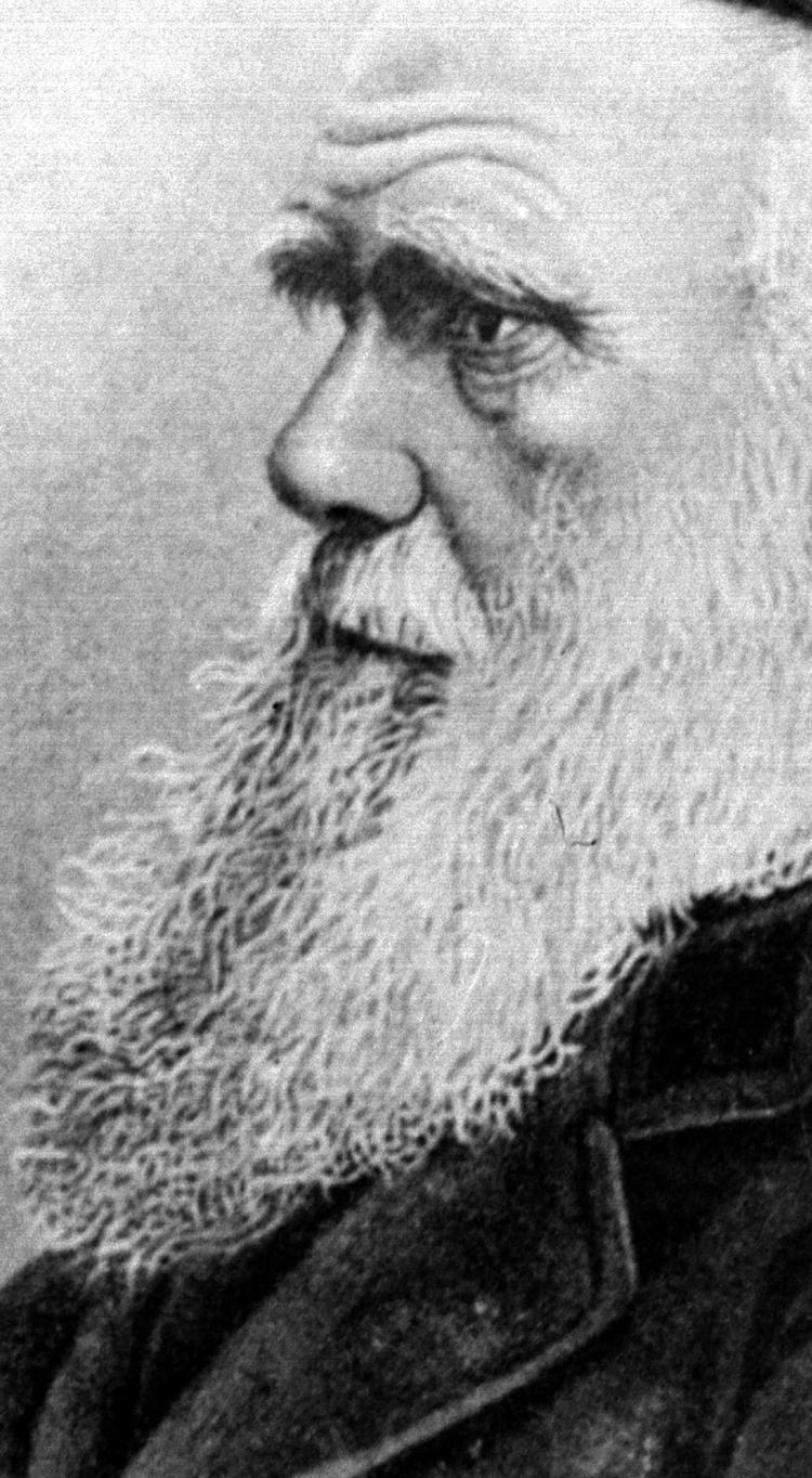 Darwin kunne være fyldt 200 år i dag. Samtidig er det 150 år siden, at han udgav den epokegørende bog »Arternes oprindelse«. 