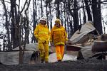 4.000 brandmænd kæmper stadig i de berørte områder. For alle andre er der ikke meget andet at gøre end at donere penge til ofrene, foræller dansker i Melbourne. 