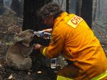 APTOPIX Australia Wildfires