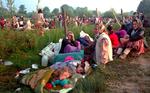 Bosniske flygtninge uden for FN's base ved lufthavnen i Tuzla 14. juli 1995. Foto: AP/Darko Bandic 