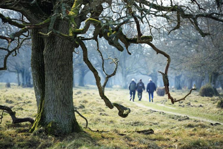 Udvindelsen af spagnum er til afre for både dyr og planter i Lille Vildmose, mener Danmarks Naturfredningsforening. EU åbner sag mod Danmark. 