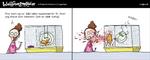 wulff_13_02_2009