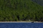 Baikal-søen lægger vand til 1.500  plante-og dyrearter, der ikke findes andre steder i verden. 