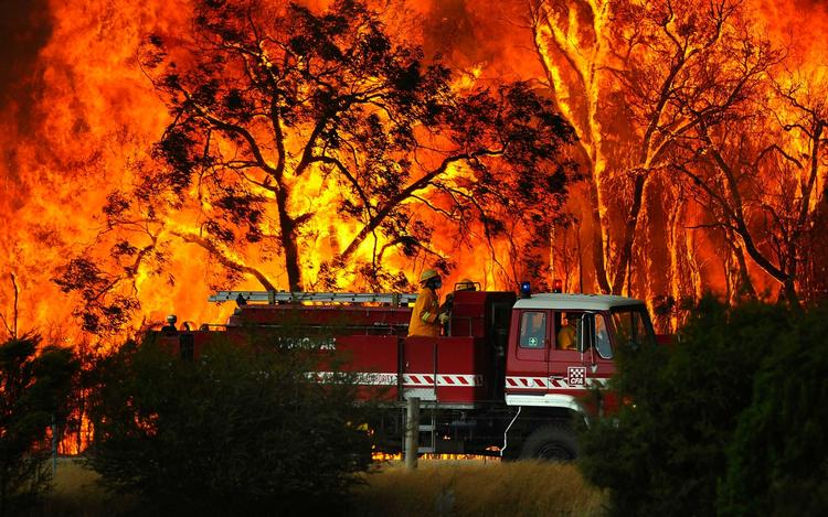 Omkring 190 mennesker har foreløbig mistet livet som følge af de voldsomme brande i det sydlige Australien. Det menes, at flere af brandene er påsatte. 