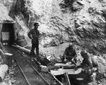 I Toril Brekkes udvandrersaga følger vi bl.a. nordmændenes vandring mod det Californien, hvor guldfeberen rasede. Foto: AP. 