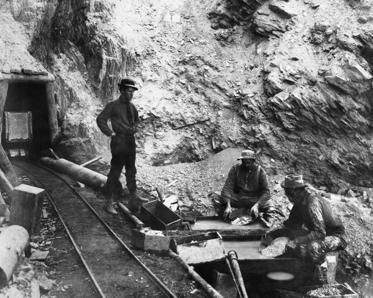 I Toril Brekkes udvandrersaga følger vi bl.a. nordmændenes vandring mod det Californien, hvor guldfeberen rasede. Foto: AP. 