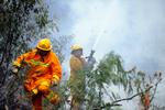 Brandene i Australien har gjort befolkningen ekstra varsom over for brandfare. Det fik en 38-årig at mærke, da han smed tændte cigaretter ned i tørt græs i et af de brandramte områder. Arkivfoto 