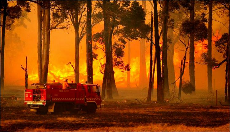 Skovbrandene har været hårde i Australien. Billedet er fra 7. februar i Gippsland-regionen i delstaten Victoria. 