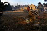 Brandene nærmer sig Melbourne. Her løber en lokal indbygger med en spand vand for at forsøge at redde sit hus ved Belgrave Heights, 35 km sydøst for storbyen. 