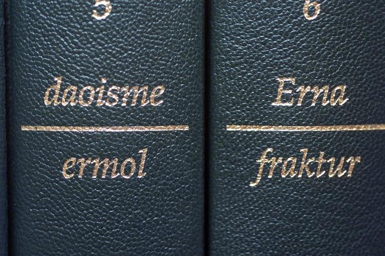 Den Store Danske Encyklopædi, her i fast form. Arkivfoto. 