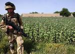 USA anklages for ikke at dele efterretninger med deres samarbejdspartnere i krigen i Afghanistan og Irak. Det har store konsekvenser for indsatsen. Arkivfoto. 