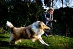 Et vigtigt element i forebyggelsen af bidulykker er at lære børn, hvordan de skal behandle hunden. Men det er lige så væsentligt, at hunden vænner sig til børn, som har en anden fysik og opfører sig anderledes end voksne. Foto: Martin Lehmann 