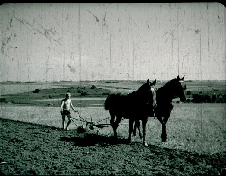 Bonden, der pløjer sin mark i korte bukser og bar overkrop, skabte stor forargelse og blev klippet ud. Billedet er først for nylig blevet fundet igen. Foto: DFI's filmarkiv 