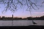 Hele området omkring floden Themsen, der blandt andet løber gennem London, er hårdt ramt. 