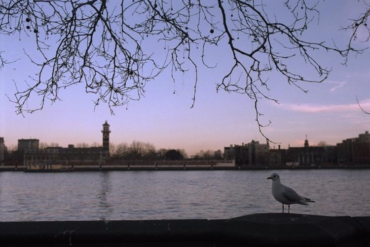 Hele området omkring floden Themsen, der blandt andet løber gennem London, er hårdt ramt. 