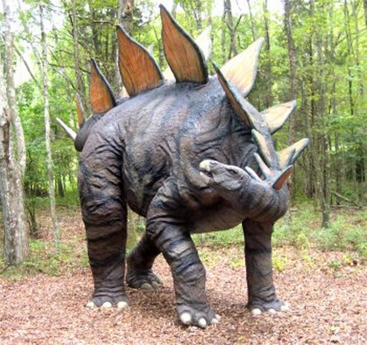 Modsat, hvad man skulle tro, er det denne gruppe, orinithiscier, der er nærmest beslægtet med vore dages fugle. Her er det den pansrede Stegosaurus. 