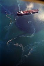 Exxon Valdes var 300 m langt, 50 m bredt, og stak 27 m i dybden. Skibet kunne fragte 1,48 million tønder olie  med en hastighed på 16,25 knob (30 km/t) og var i drift for at fragte råolie fra olieterminalen i Valdez, Alaska, til de sydligere stater i USA. 