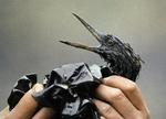 24. marts 1989 stødte olietankeren Exxon Valdez på grund i Prins William Sundet. Den læggende olie kostede 250.000 fugle livet. 